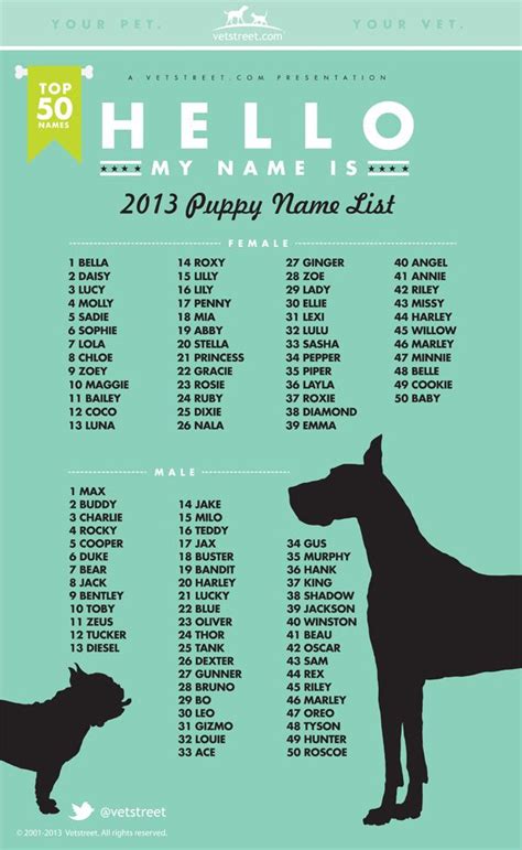 Finding the Best Names for Dogs - Chasing Dog Tales | Puppy names, Dog names, Popular dog names