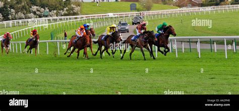 Epsom racecourse hi-res stock photography and images - Alamy