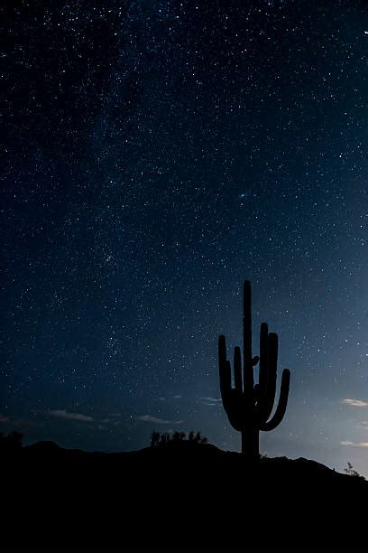 Sonoran Desert Night Stock Photos, Pictures & Royalty-Free Images - iStock