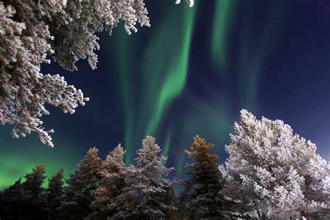 Northern lights finland - gulfclubs