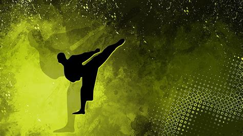 Karate, Taekwondo HD wallpaper | Pxfuel