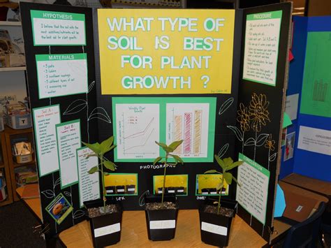 10 Fantastic Plant Science Fair Project Ideas 2024