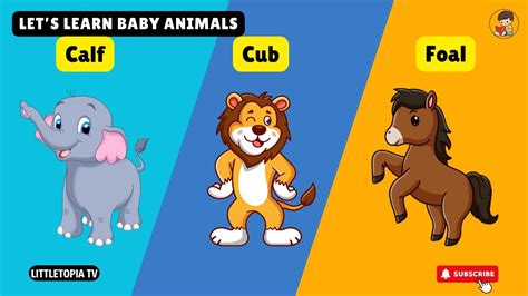 Too Cute Baby Animals Name For Kids | Kids Learning Videos | Kids ...