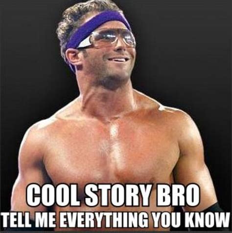 [Image - 248960] | Cool Story, Bro | Know Your Meme