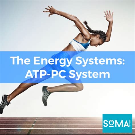 The Energy Systems: ATP-PC System | Soma Fitness Personal Training