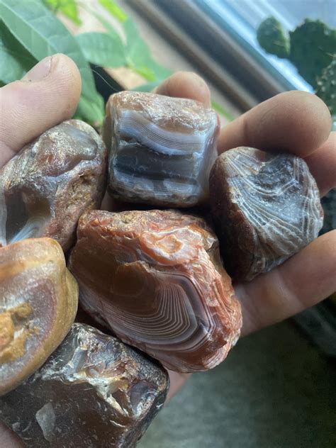 Agate hunting trip : Agates