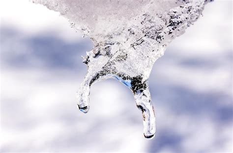 Images Of Snow Melting - Dreamstime is the world`s largest stock ...