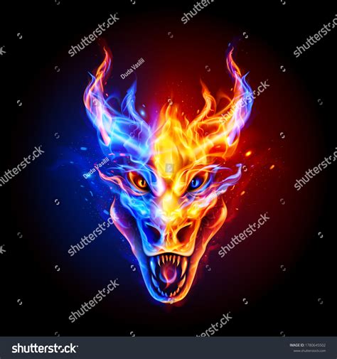 10,379 Blue fire dragon 图片、库存照片和矢量图 | Shutterstock