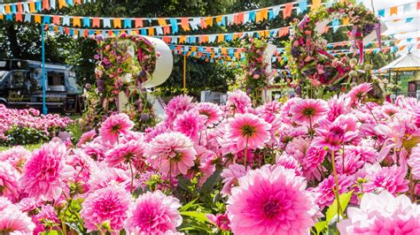 The RHS Hampton Court Flower Show 2022: a complete guide | GardeningEtc