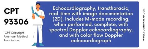 93306 CPT Code (2023) Description, Guidelines, Reimbursement, Modifiers & Example