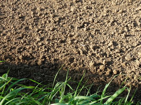 Soil Free Stock Photo - Public Domain Pictures