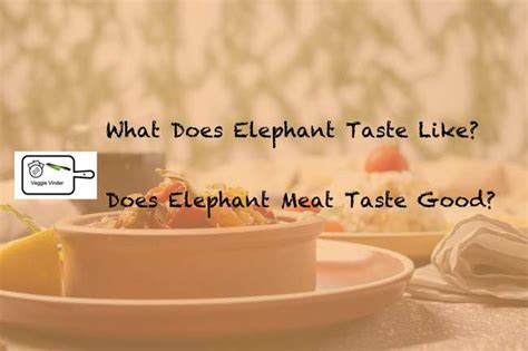 What Does Elephant Taste Like? Does Elephant Meat Taste Good? - Veggie ...