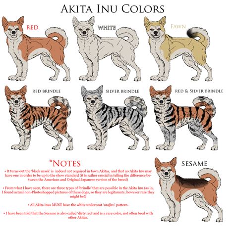 Akita Inu Reference: Colors by Black-Tiger-of-Evil on DeviantArt