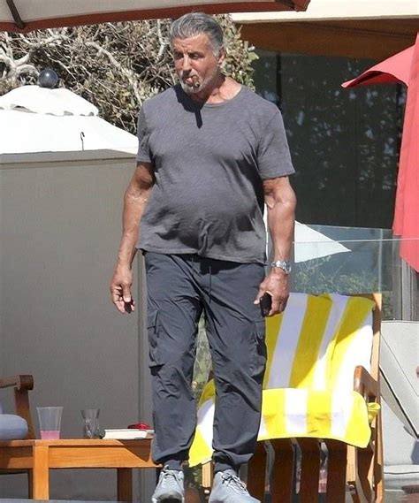 Sylvester Stallone Body / From his early rocky days to his shredded 80 ...