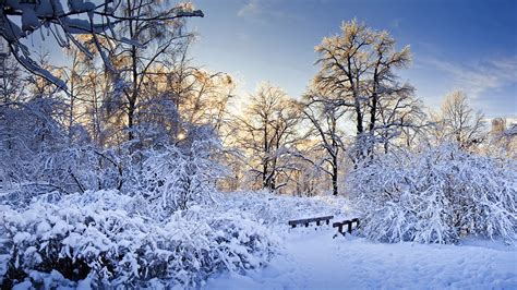 Fondos de Pantalla 1920x1080 Estaciones del año Invierno Nieve Naturaleza descargar imagenes