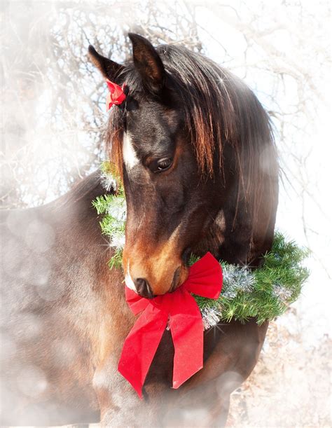 Christmas Horse Wallpapers - Wallpaper Cave