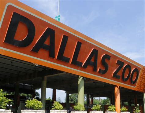 Dallas Zoo - Visit Plano