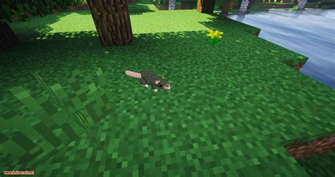 Rats Mod 1.16.5, 1.15.2 (Awesome Mod About Rat) - Mc-Mod.Net