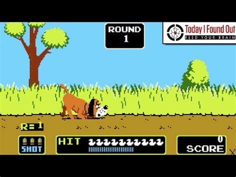 Duck hunting games to play - doodlehohpa