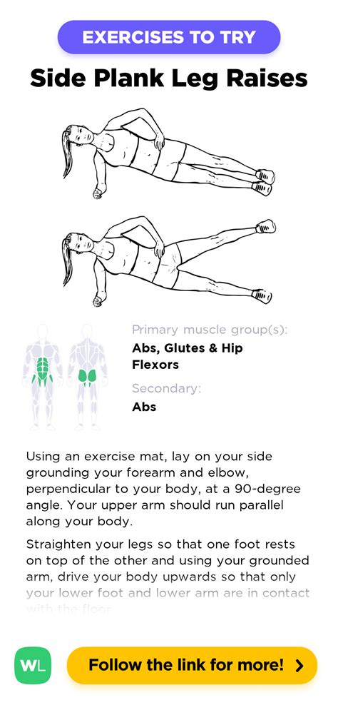 Side Plank Leg Raises – WorkoutLabs Exercise Guide