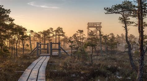 Nature | latvia.travel