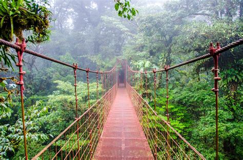 Top 4 Best Parks with Hanging Bridges in Monteverde Costa Rica