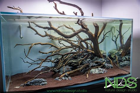 High End Custom Designed Aquariums and Living-nature Installations, Los ...