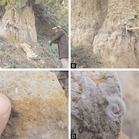 Delluvial deposits as the base of the archaeological layers (in the... | Download Scientific Diagram