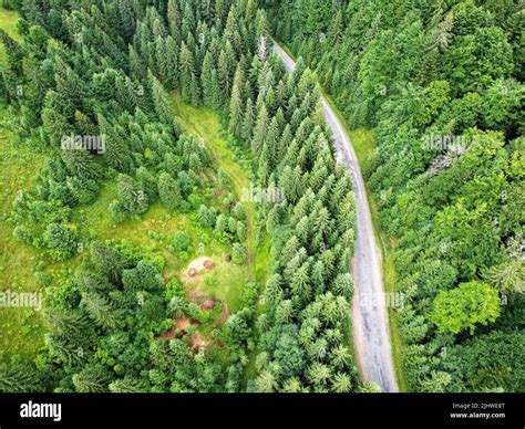 Zakarpattia 2021 hi-res stock photography and images - Alamy