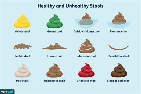 poop stool color changes color chart and meaning healthy concept stock - types of poop what ...