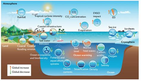 A new comprehensive assessment of ocean warmi | EurekAlert!