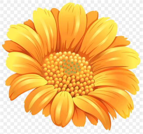 Flower Orange Common Daisy Clip Art, PNG, 5130x4807px, Flower ...