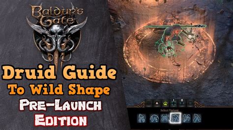 The Druid Guide to Shapeshifting and Wild Shape - Baldur's Gate 3 Pre ...