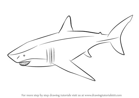 Learn How to Draw a Megalodon (Fishes) Step by Step : Drawing Tutorials