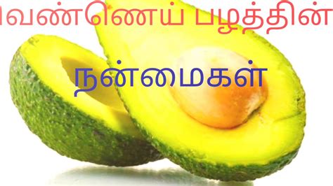 Avocado Fruit Vennai Pazham Benefits in Tamil - YouTube