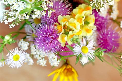 Bouquet of meadow flowers stock photo. Image of purple - 61235812