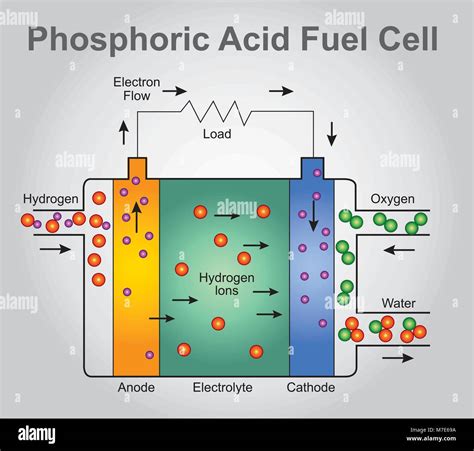 Diagram of fuel cell Stock Vector Images - Alamy