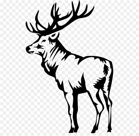 Elk clipart drawing, Elk drawing Transparent FREE for download on WebStockReview 2021