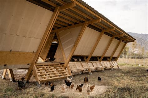 House of Chickens / SO? Architecture and Ideas | ArchDaily