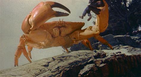 Giant Crab | Monster Wiki | Fandom