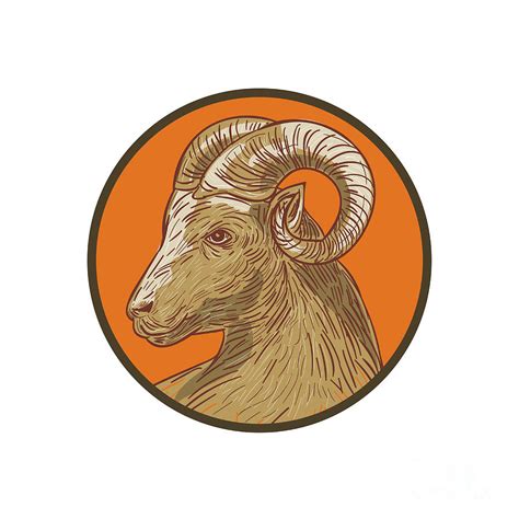 Ram Goat Head Circle Drawing Digital Art by Aloysius Patrimonio | Fine Art America