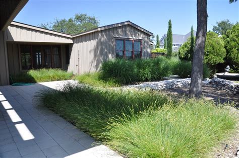 Ornamental Grasses Front Yard