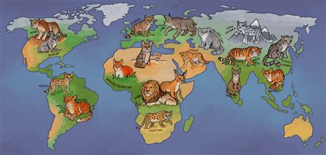 Map of cat species from around the world : r/MapPorn