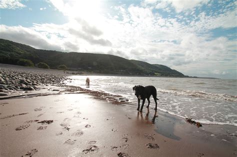 Exmoor Beaches - The Best of Exmoor Blog | Exmoor News and Stories