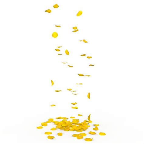 570+ Yellow Rose Fallen Petals Stock Photos, Pictures & Royalty-Free Images - iStock