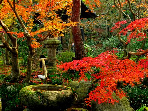 Kyoto Autumn (kyoto no aki) - Taringa!