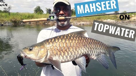 Mahseer Fishing with Lures - India 2021 - YouTube