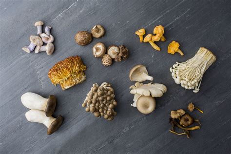 Types Of Mushrooms With Names And Pictures