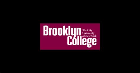 Brooklyn College logo - Brooklyn College - T-Shirt | TeePublic