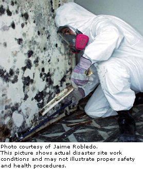 Mold Clean Up PPE | Healthy Building Science, Inc.